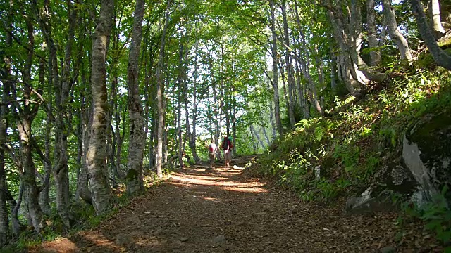 登山视频素材