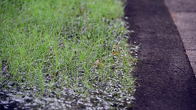 大雨水滴落在花园的石头路面上视频素材