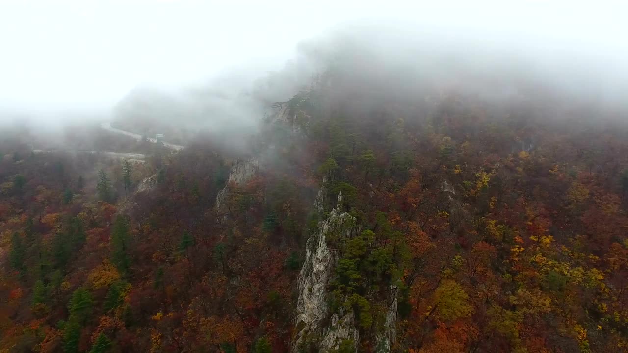 秋天的雪岳山(联合国教科文组织生物圈保护区)云海视频素材