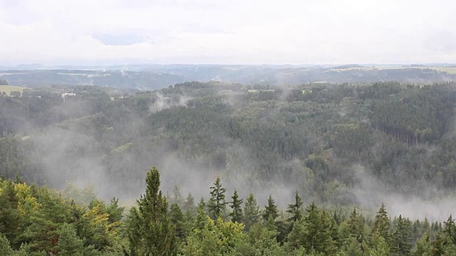 树木和山丘上的雨雾，捷克的风景视频素材