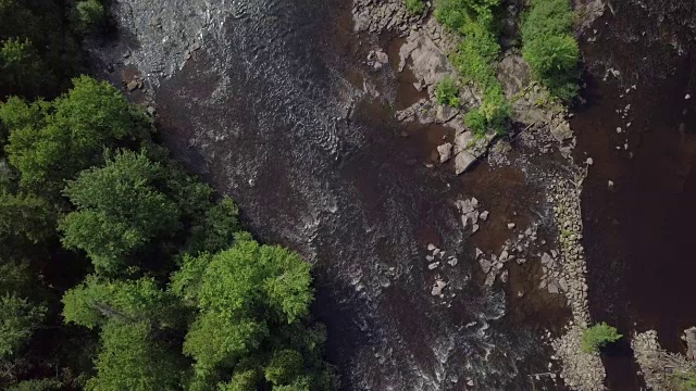 夏季北方自然森林和河流鸟瞰图视频素材