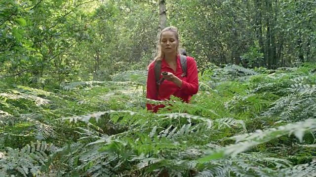 女人探索有蕨类的林间空地。使用指南针视频素材