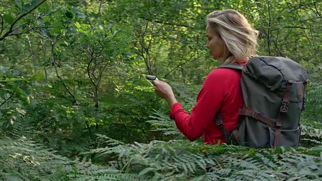 女人探索有蕨类的林间空地。使用指南针视频素材