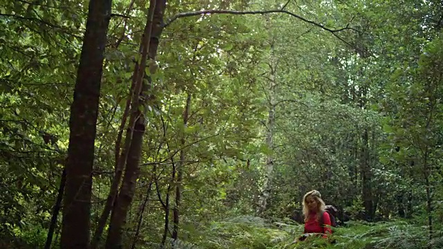 在树林里探索蕨类植物的女人视频素材