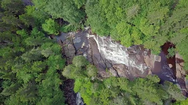 夏季北方自然森林和河流鸟瞰图视频素材