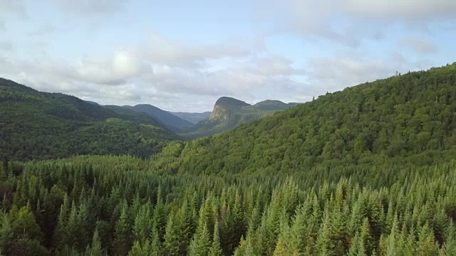 夏季北方自然森林和山地鸟瞰图视频素材