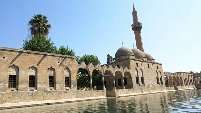 鱼湖(Balikli Gol)， Sanliurfa，火鸡视频素材