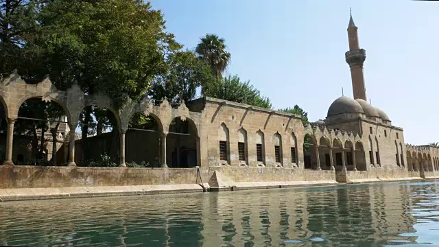 鱼湖(Balikli Gol)， Sanliurfa，火鸡视频素材