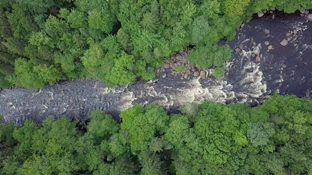 夏季北方自然森林和河流鸟瞰图视频素材