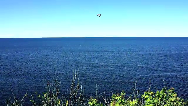 鸟瞰图的海洋或圣劳伦斯河在加斯比半岛，魁北克省，加拿大加斯比西地区与鸟类飞行视频下载