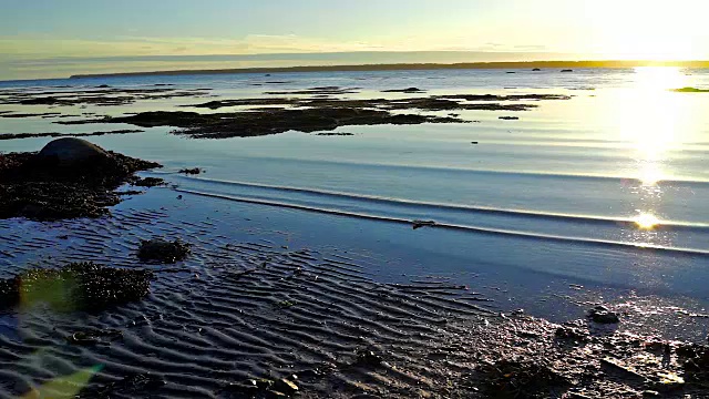 日落在Rimouski，魁北克的圣劳伦斯河在加斯比西地区的加拿大海岸和海浪的特写视频下载