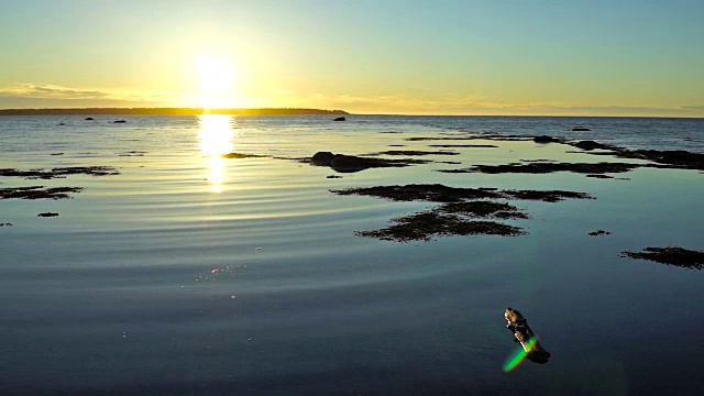 日落在Rimouski，魁北克的圣劳伦斯河在加斯比西地区的加拿大海岸，海浪和鸟类飞行的特写视频素材