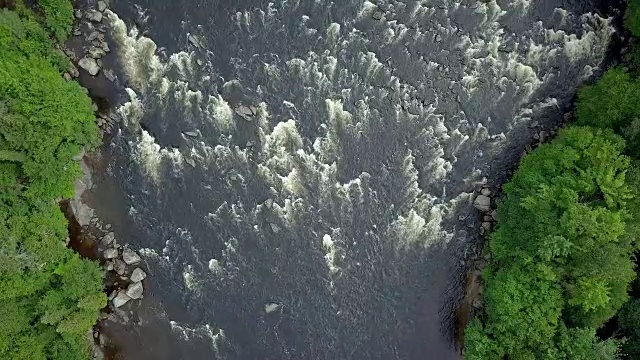 夏季北方自然森林和河流鸟瞰图视频素材