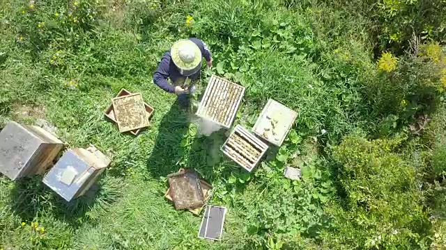 鸟瞰图的养蜂人在工作视频素材