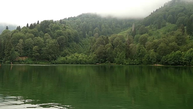 湖泊和森林视频素材