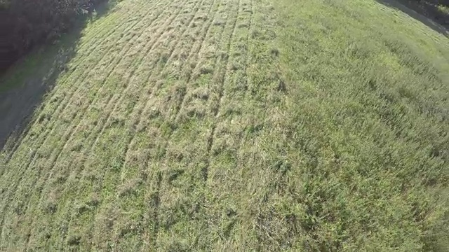 复古拖拉机从夏末草地割草，鸟瞰图视频素材