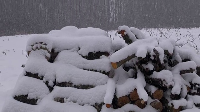 在森林附近的冬季田野上，雪花落在木柴堆上视频素材