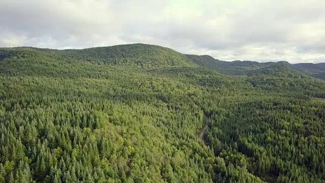 夏季北方自然森林和山地鸟瞰图视频素材