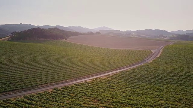 穿过索诺玛郡酒庄的乡村公路视频素材