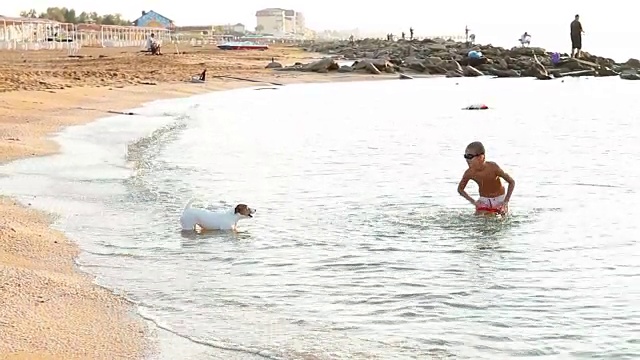 男孩和宠物狗在清晨的海上玩耍视频素材