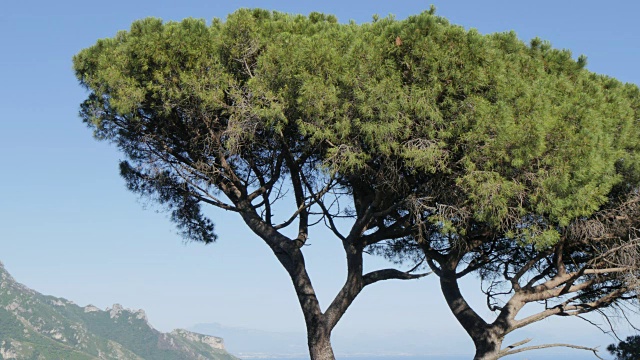 Villa Rufolo, Ravello, Costiera Amalfitana(阿马尔菲海岸)，联合国教科文组织世界遗产地，坎帕尼亚，意大利，欧洲视频素材