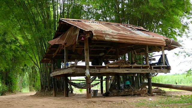 田野里的泰国小屋。视频素材