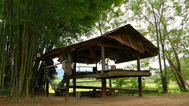 田野里的泰国小屋。视频素材