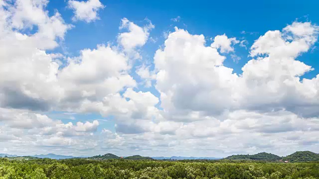 时间的推移在天空多云的红树林上空视频素材