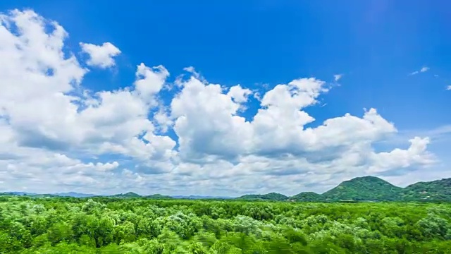 时间流逝:红树林上空多云的斑驳视频素材