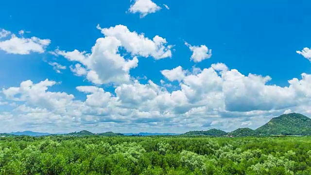 时间的推移在天空多云的红树林上空视频素材