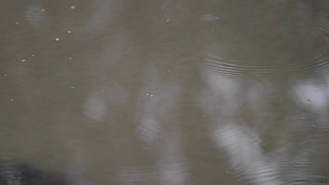 水坑中的雨滴特写视频素材