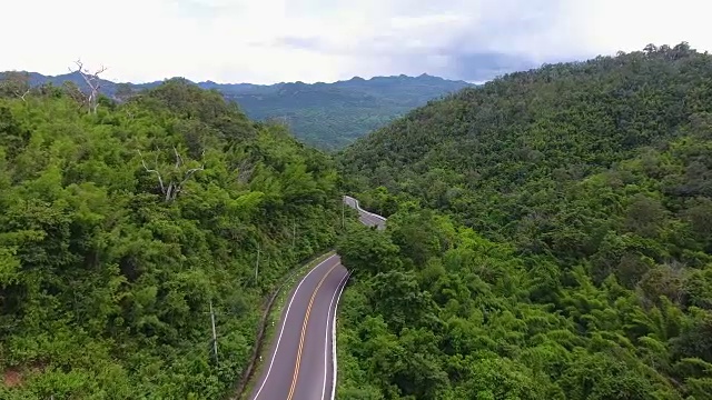 森林中道路的鸟瞰图视频素材