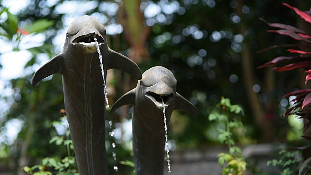 花园视频素材