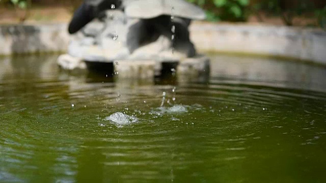 花园视频素材