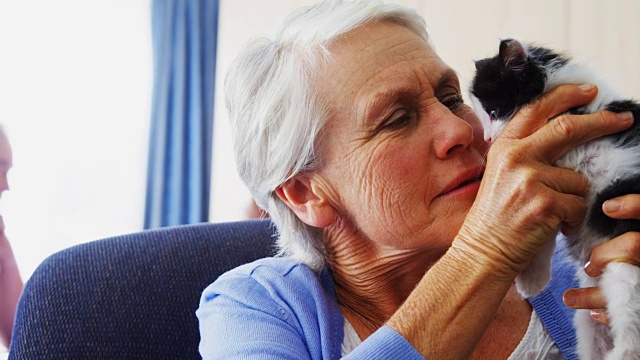 老年妇女抱着小猫坐在扶手椅上4k在退休之家视频素材