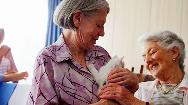 老年妇女在退休之家扶手椅上抚摸小猫4k视频素材