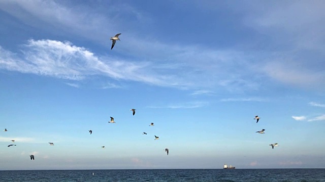 海浪海滩视频素材