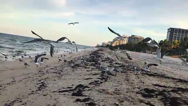 海浪海滩视频素材