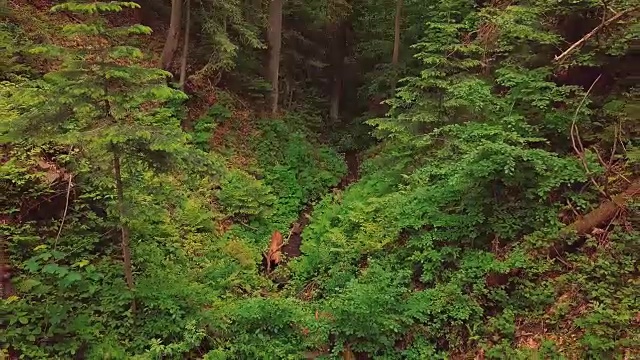 空中飞过美丽的山脉，峡谷和小河视频素材