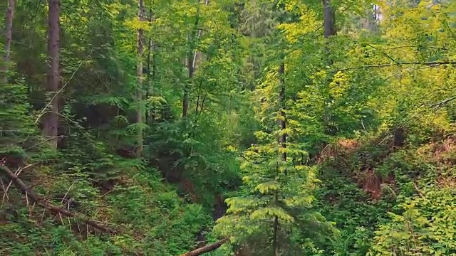 空中飞过美丽的山脉，峡谷和小河。光滑的跨度视频素材