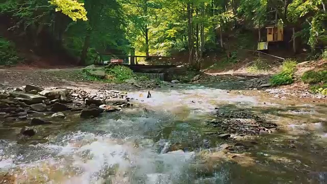 春，夏，山河中有松树和冷杉视频素材