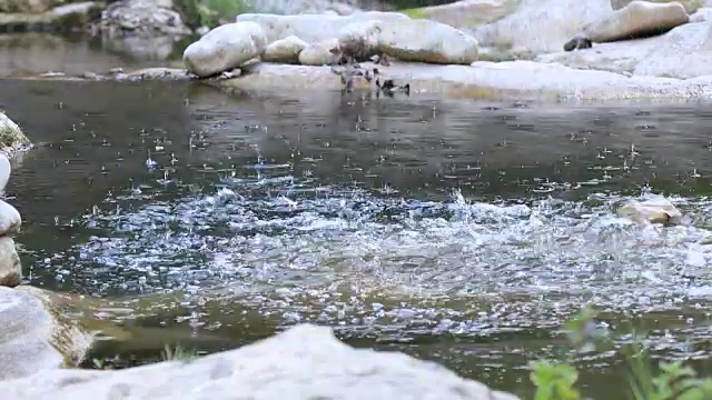 河中的水流视频素材