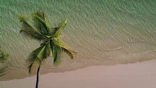 热带岛屿的海滩。椰子树上的海浪，鸟瞰视频素材