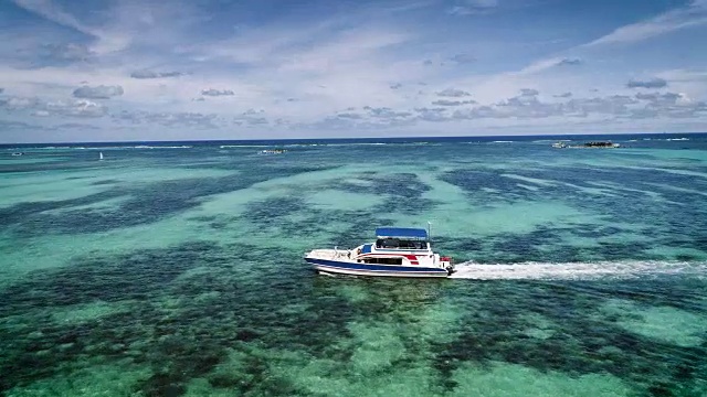 在蓬塔卡纳海滩附近加勒比海航行的快艇或游艇视频素材