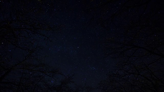 夜晚星星时间流逝天空旋转空间，森林树木前景天体摄影视频素材