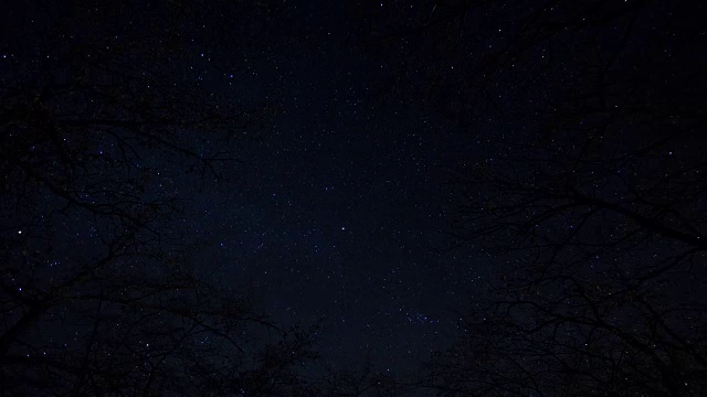 夜晚星星时间流逝天空旋转空间，森林树木前景天体摄影视频素材