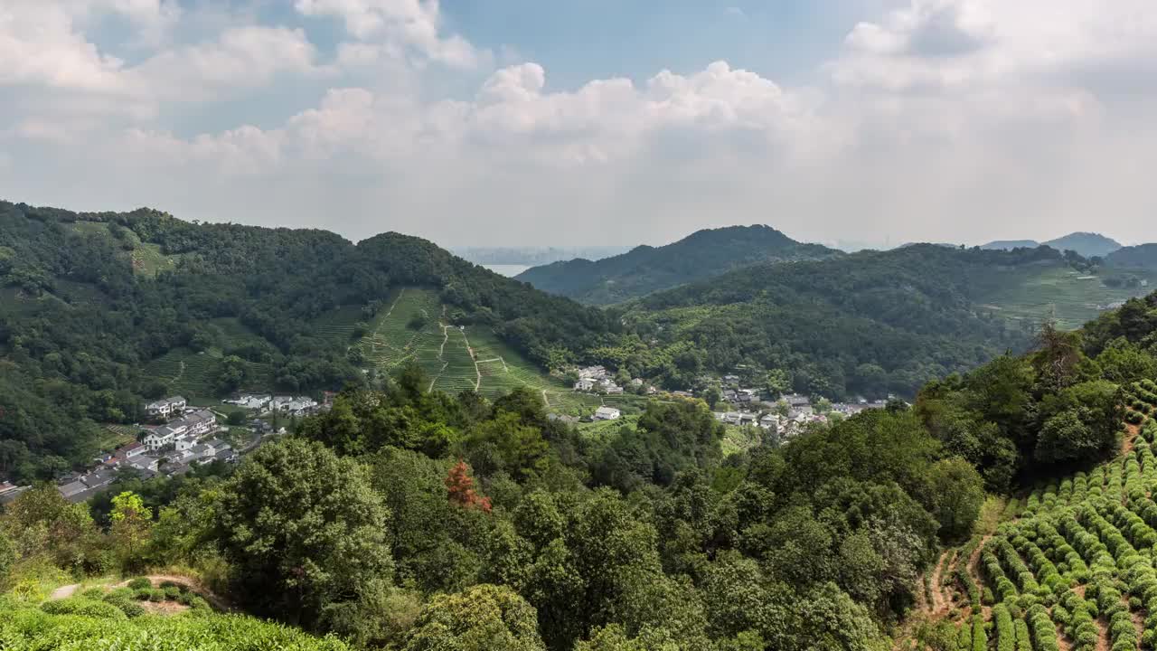 4K延时:中国杭州龙井村附近的龙井茶园视频素材