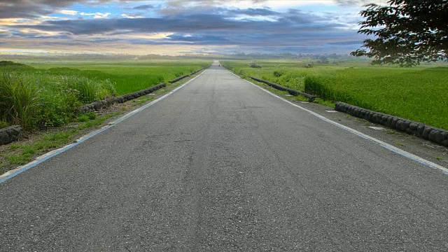 自然的夏季景观以柏油路到地平线和美丽的景色视频素材