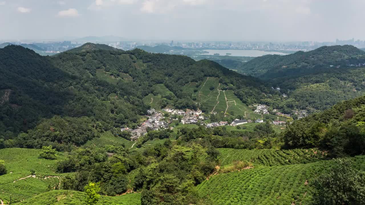 4K延时:云雾笼罩龙井茶园在山谷，中国杭州视频素材