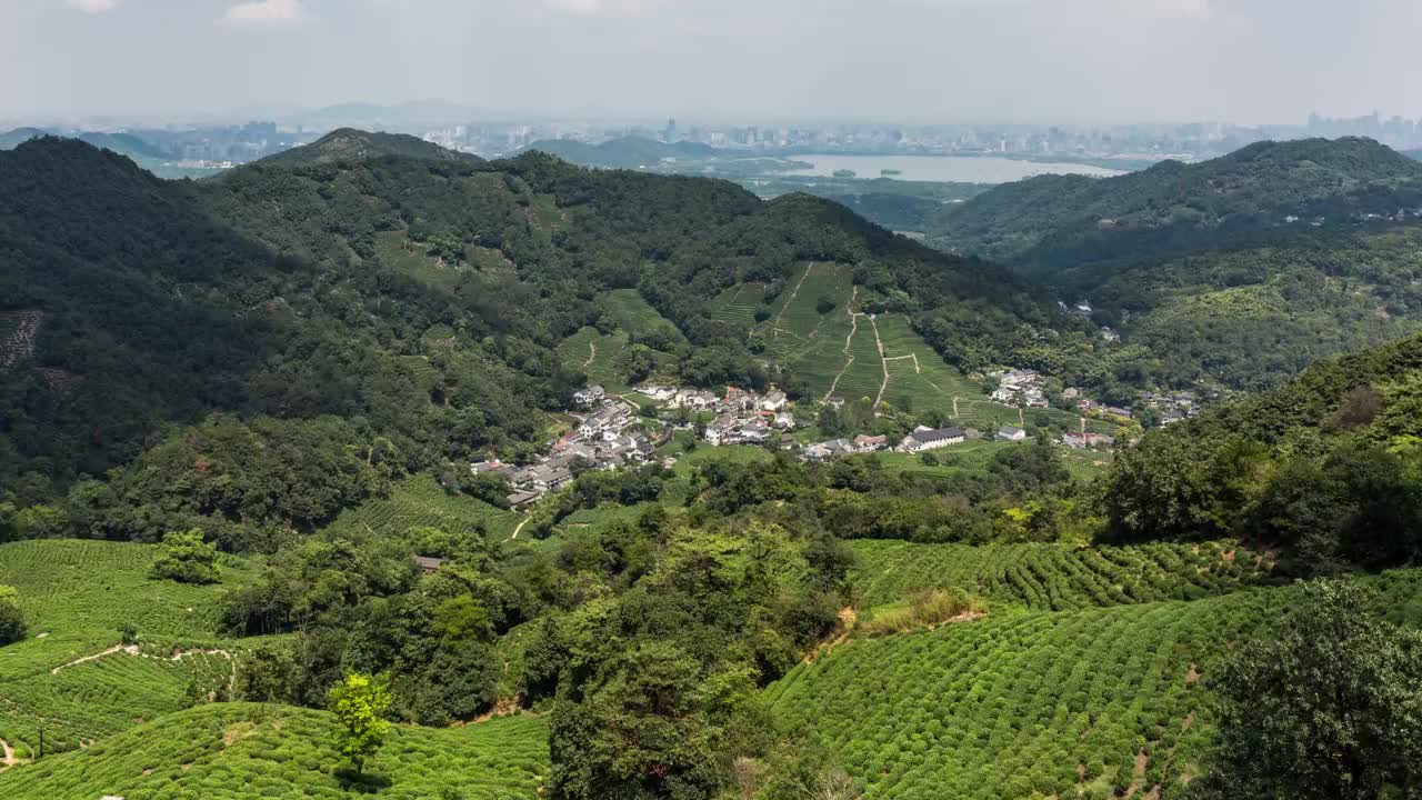 4K延时:云雾笼罩龙井茶园在山谷，中国杭州视频素材